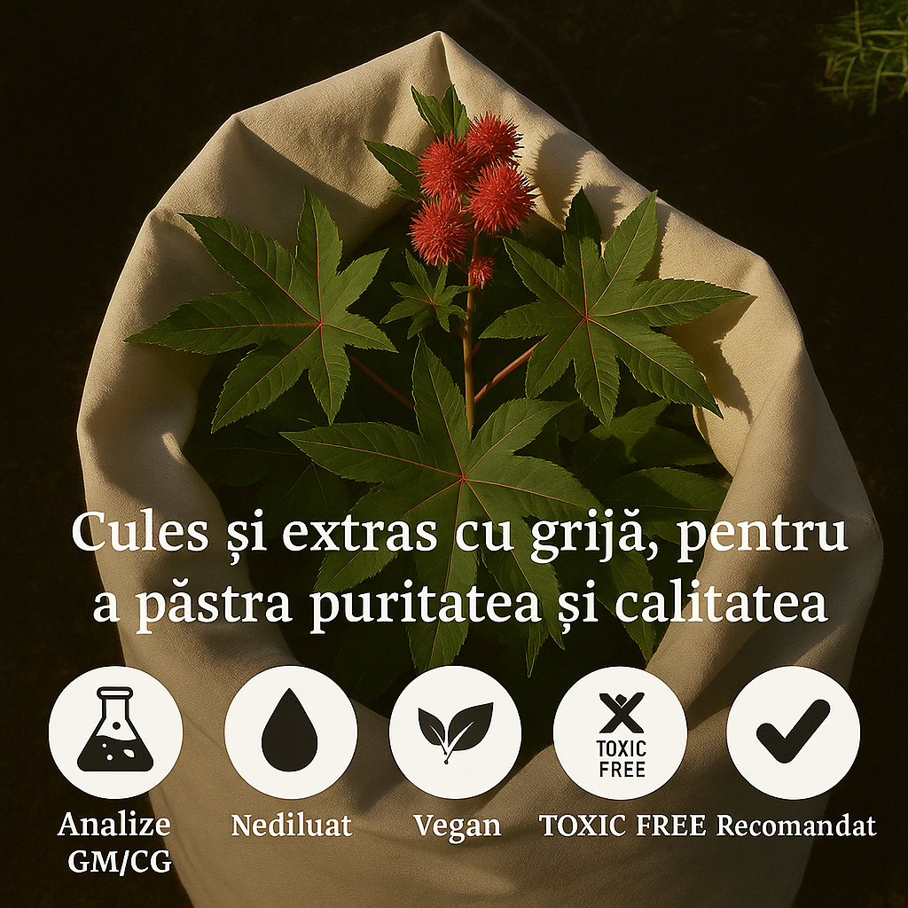 Ulei de Ricin 100% Presat la rece 100ML + Pipetă CADOU