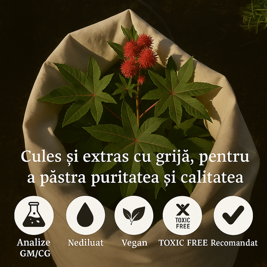 Ulei de Ricin 100% Presat la rece 100ML + Pipetă CADOU