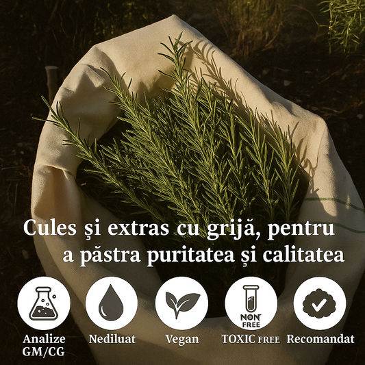 Set de 2 uleiuri esențiale de rozmarin 100% PUR + Pipetă din Sticlă CADOU