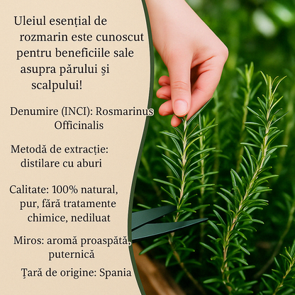 Set de 2 uleiuri esențiale de rozmarin 100% PUR + Pipetă din Sticlă CADOU